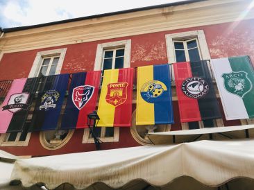 Gonfalone team flags